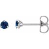 2000214 / 14K White / Set / Round / Natural Blue Sapphire / Pair / 3 Mm / Friction / Friction Backs Included / 3-Prong / Polished / Natural Blue Sapphire 3-Claw Prong Earring