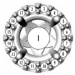 86509 / Earring / Set / Natural Blue Sapphire / Round / 5 Mm / 14K White / Natural Diamond / Pair / Friction Backs Included / Polished / Natural Blue Sapphire And 1/8 Ctw Natural Diamond Earrings