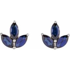 688828 / Earring / Set / Natural Blue Sapphire / Marquise / 5 X 2.5 Mm / 14K White / Pair / Friction Back Included / Polished / Natural Blue Sapphire Earrings