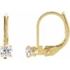 19114 / Earring / Set / Imitation White Cubic Zirconia / Round / 2 Mm / 14K Yellow / Pair / Lever Backs / Polished / Youth Cz Earrings