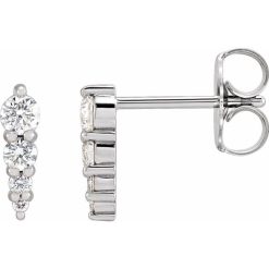 Graduated Bar Earrings